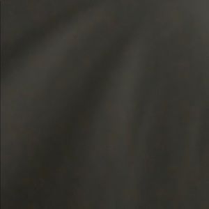 Meet your Posher, Nikkia